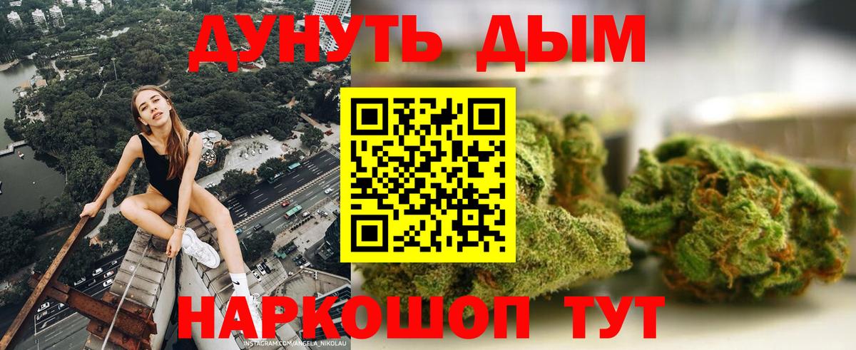 Конопля планчик Горно-Алтайск